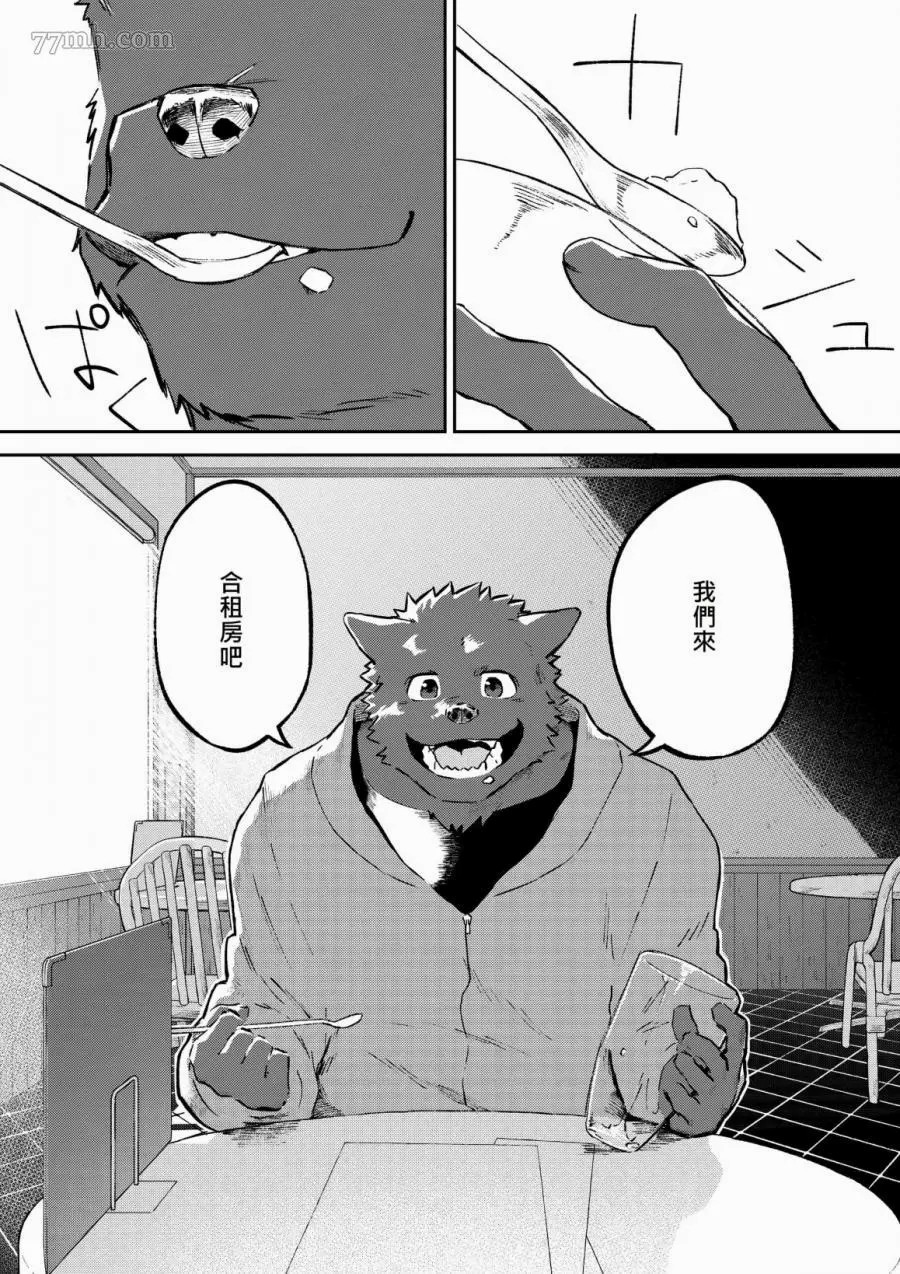 第3页