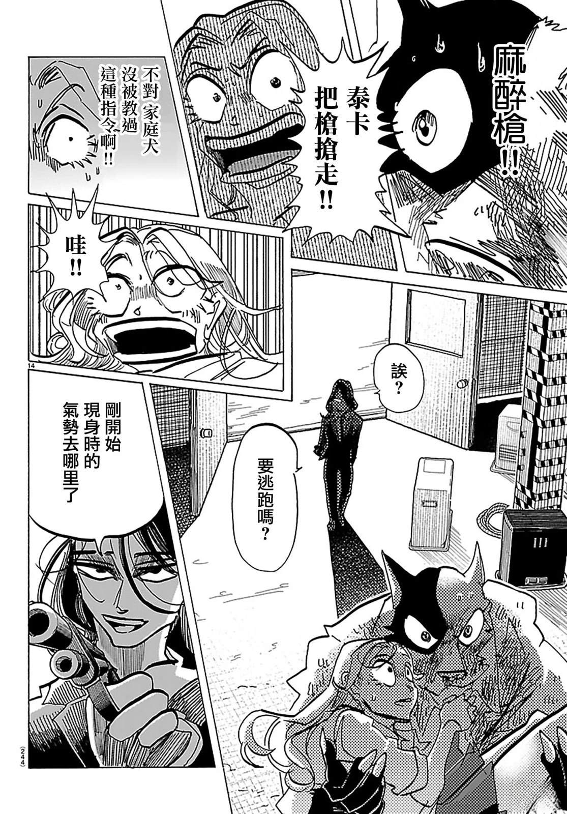 第13页