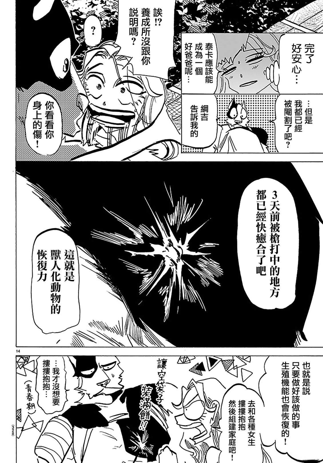 第13页