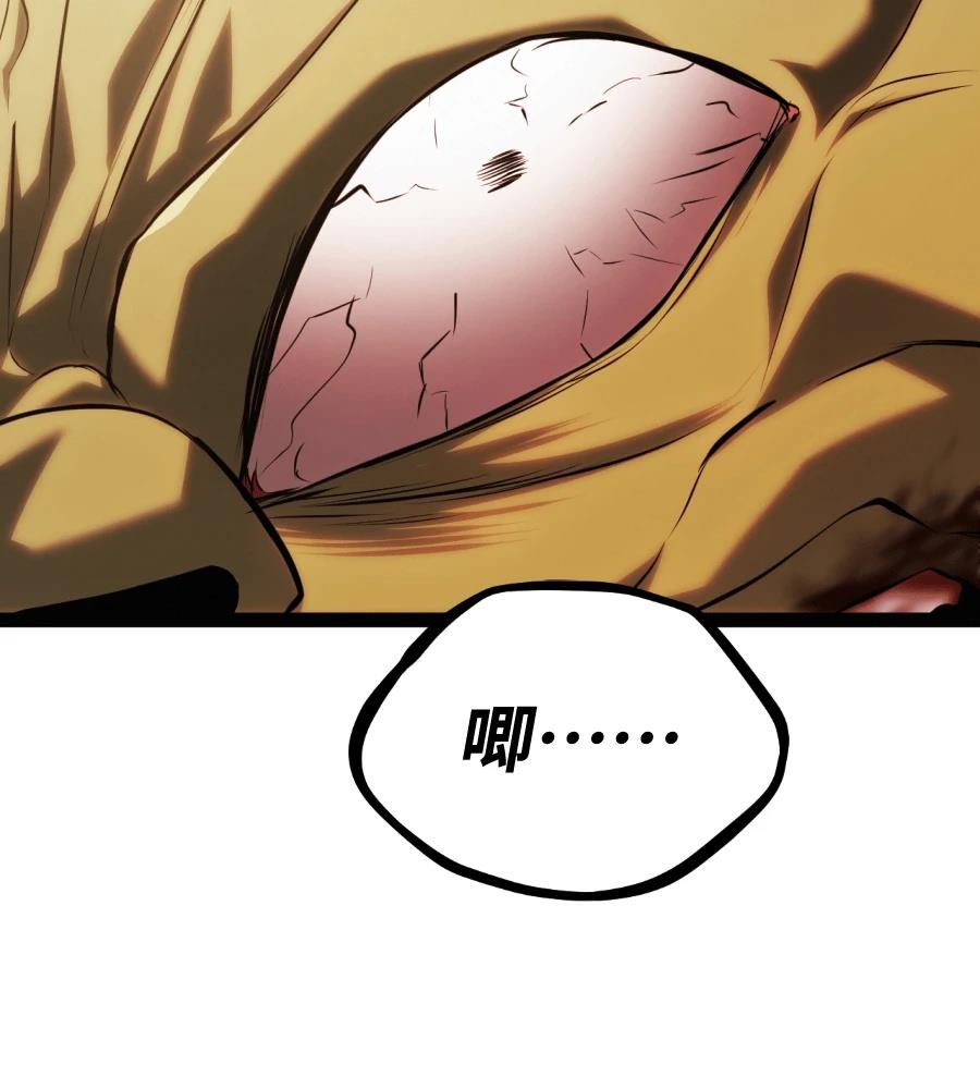 第257页