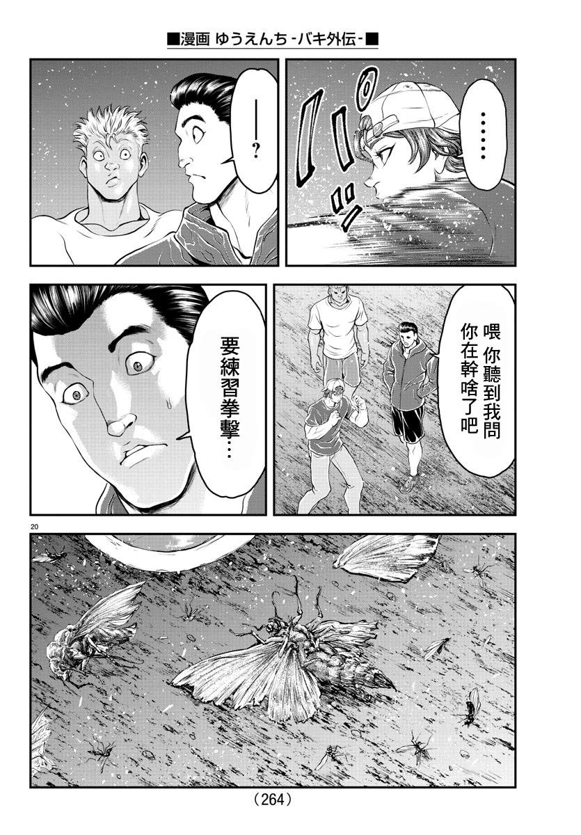 第20页